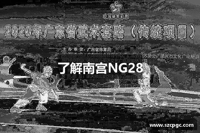 了解南宫NG28